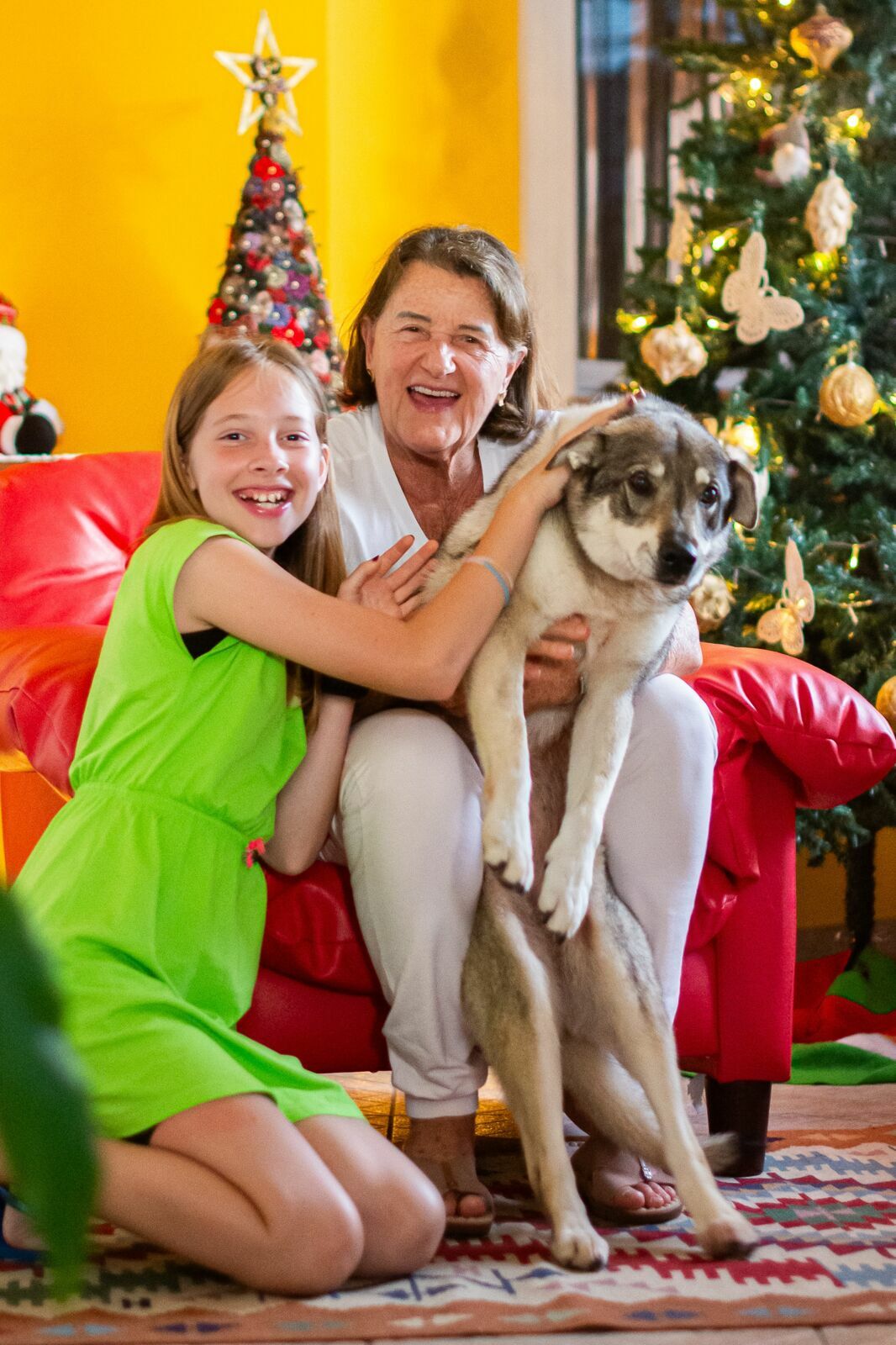 Foto Especial de Natal 2025 - Casa de Vó - Imagem 14