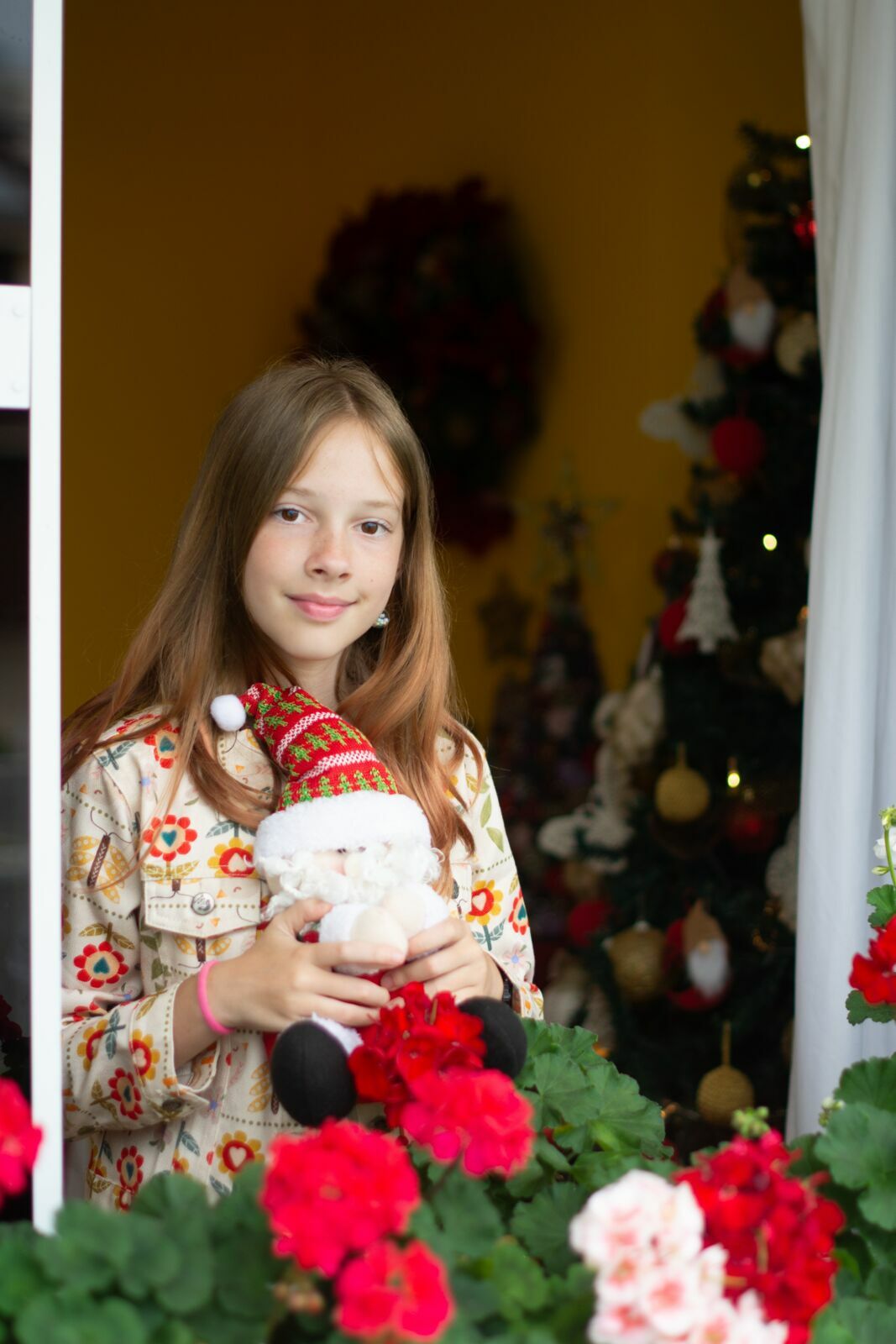 Foto Especial de Natal 2025 - Casa de Vó - Imagem 0